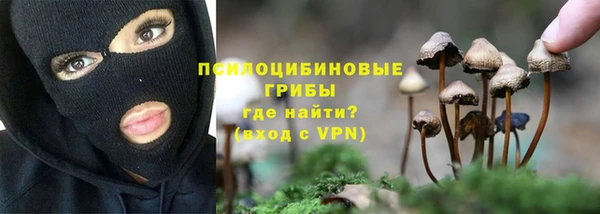 таблы Арсеньев