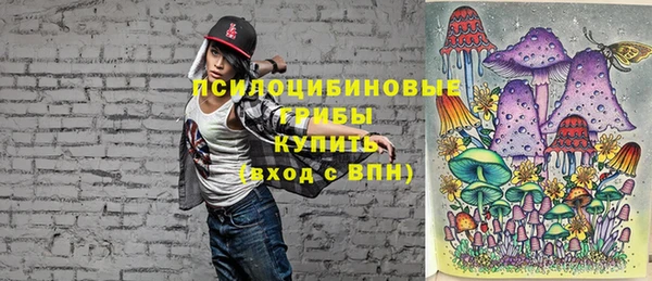 дмт Алексеевка