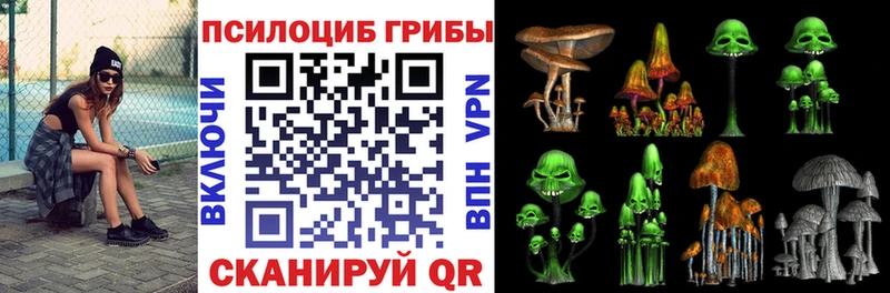 Галлюциногенные грибы GOLDEN TEACHER  Купить закладки  Северобайкальск 